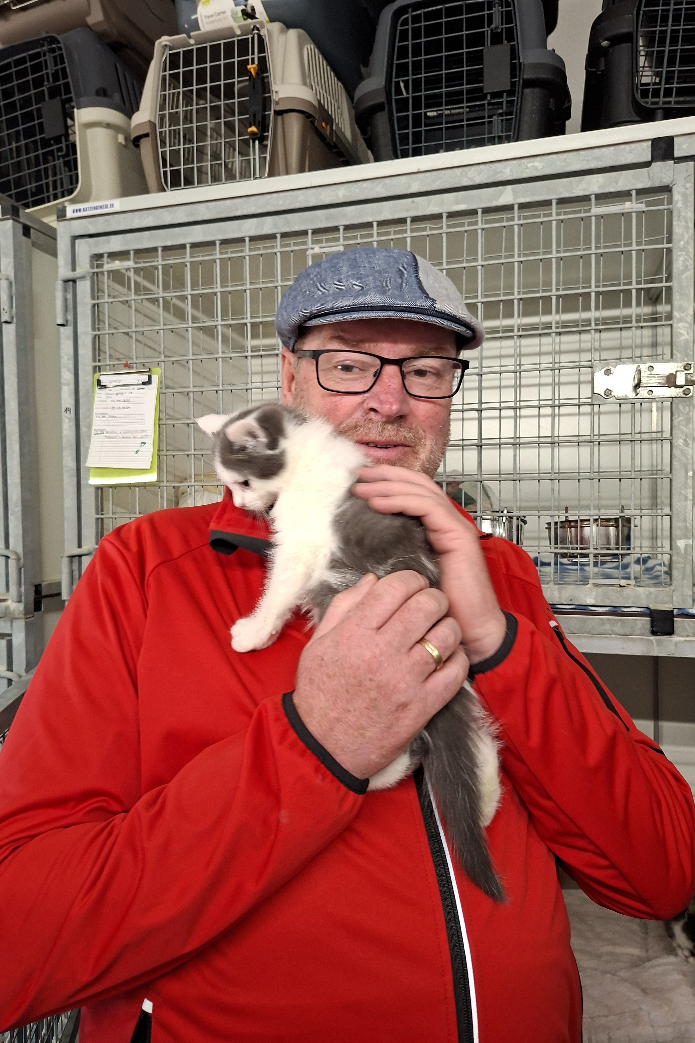 Tierheim Neuenkirchen 4